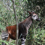DSC_0185.JPG