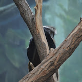 DSC_0192.JPG