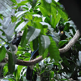 DSC_0197.JPG