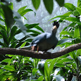 DSC_0198.JPG
