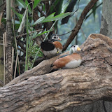 DSC_0204.JPG
