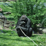 DSC_0205.JPG