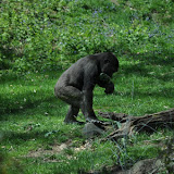 DSC_0206.JPG