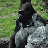 DSC_0211.JPG