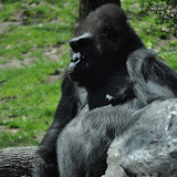 DSC_0212.JPG
