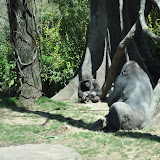 DSC_0217.JPG