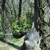 DSC_0219.JPG