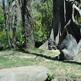 DSC_0218.JPG