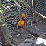 DSC_0231.JPG