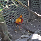 DSC_0232.JPG