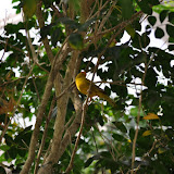 DSC_0267.JPG