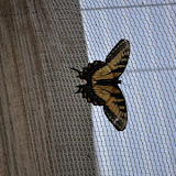 DSC_0285.JPG