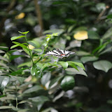 DSC_0287.JPG