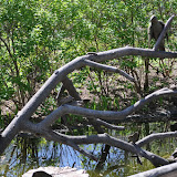 DSC_0293.JPG