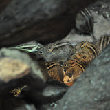 DSC_0307.JPG