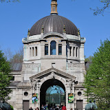 DSC_0313.JPG