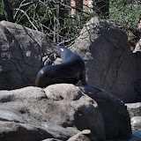DSC_0335.JPG