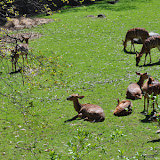 DSC_0084.JPG