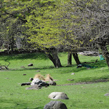 DSC_0093.JPG