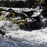 DSC_0370.JPG