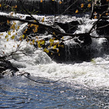 DSC_0372.JPG