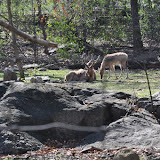 DSC_0379.JPG