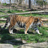 DSC_0385.JPG