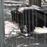 DSC_0397.JPG
