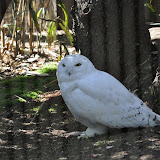 DSC_0403.JPG