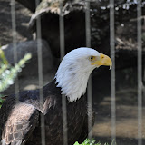 DSC_0406.JPG