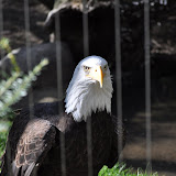 DSC_0409.JPG