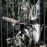 DSC_0412.JPG