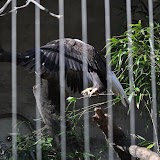 DSC_0419.JPG