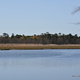 DSC_0426.JPG