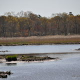 DSC_0432.JPG