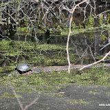 DSC_0441.JPG