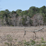 DSC_0454.JPG