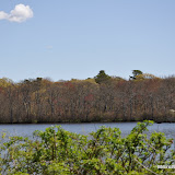 DSC_0472.JPG