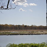DSC_0474.JPG