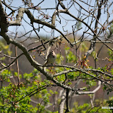 DSC_0484.JPG