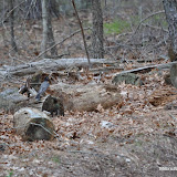 DSC_0507.JPG