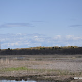DSC_0538.JPG