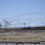 DSC_0537.JPG