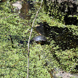 DSC_0546.JPG
