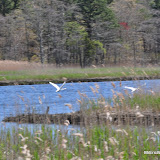DSC_0564.JPG