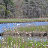 DSC_0566.JPG