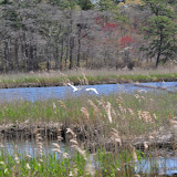 DSC_0569.JPG