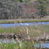 DSC_0570.JPG