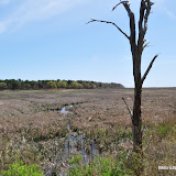 DSC_0587.JPG