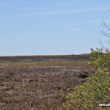 DSC_0588.JPG
